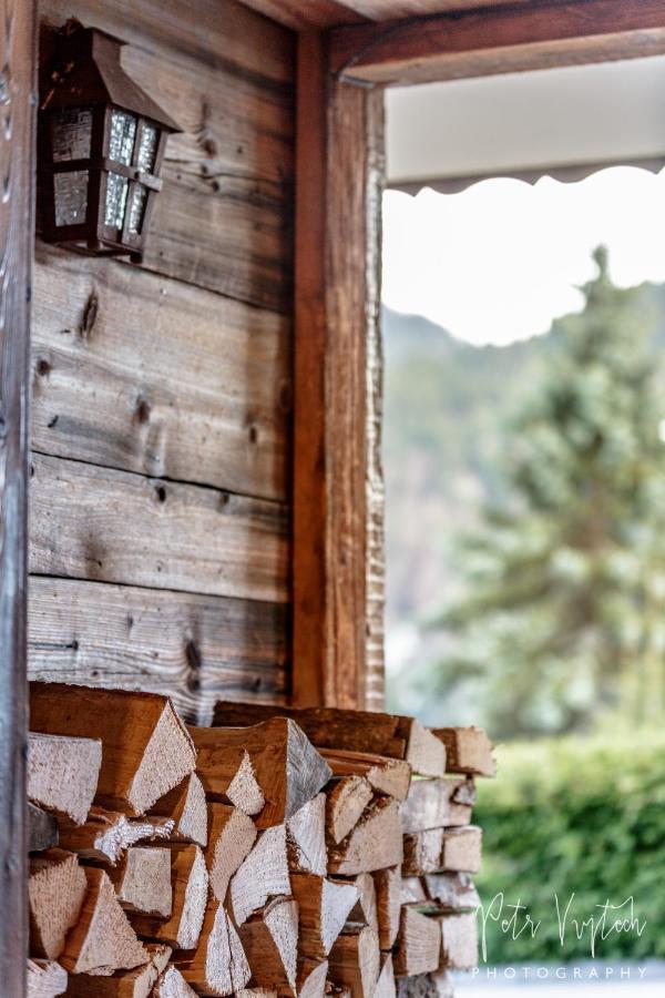 Chalet Camomille Les Gets Ngoại thất bức ảnh